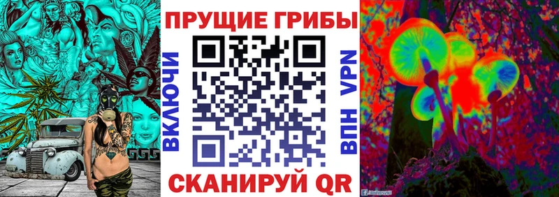 блэк спрут Алейск Галлюциногенные грибы ЛСД как найти закладки