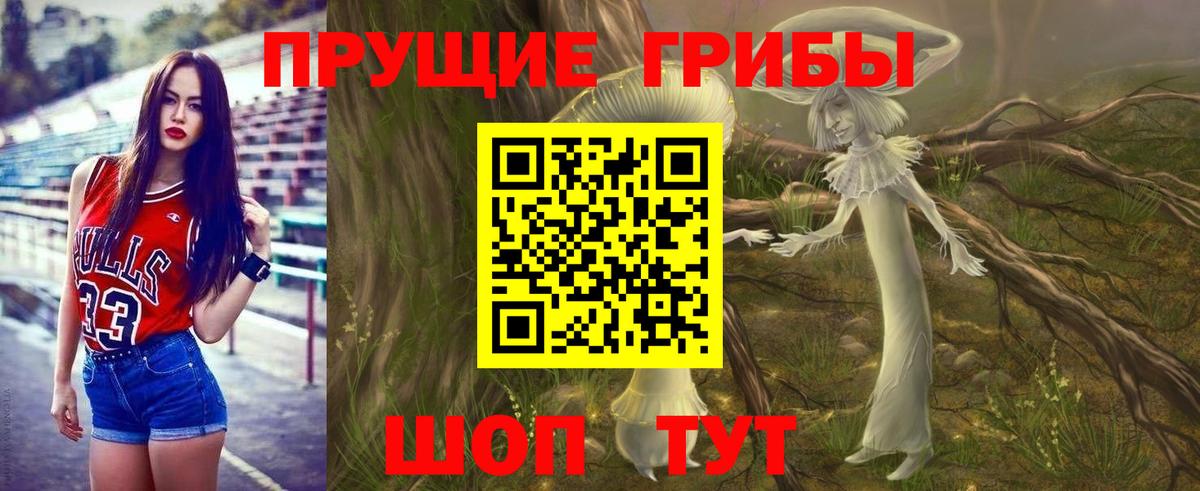 Псилоцибиновые грибы мухоморы Алейск