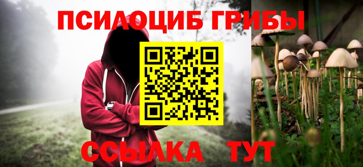 Алейск  даркнет сайт  Псилоцибиновые грибы Psilocybe  Вход с VPN  Псилоцибиновые грибы Cubensis 